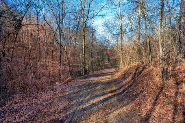 1071 Louisville Hwy, Goodlettsville, TN 37072 - photo 23