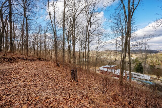 1071 Louisville Hwy, Goodlettsville, TN 37072 - photo 5