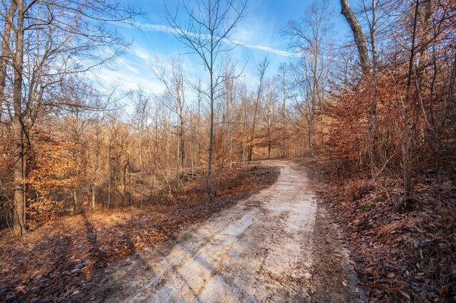 1071 Louisville Hwy, Goodlettsville, TN 37072 - photo 25