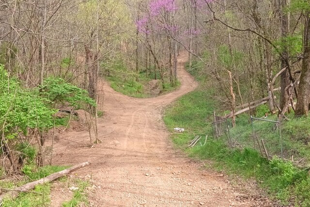 1071 Louisville Hwy, Goodlettsville, TN 37072 - photo 21
