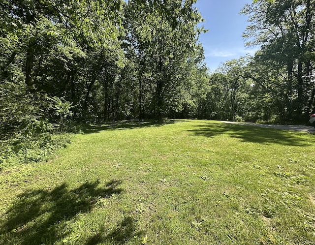 6591 Clear Creek Rd, Pulaski, TN 38478 - view of green lawn with a view of trees
