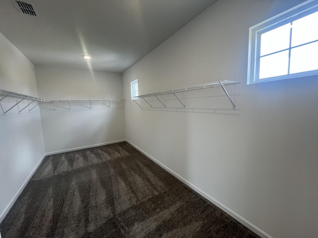 1603 Burlwood Ct, Murfreesboro, TN 37129 - walk in closet with carpet floors