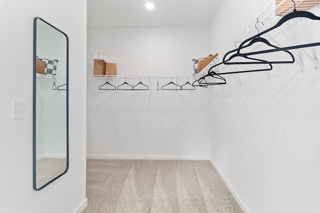 1611 Burlwood Ct, Murfreesboro, TN 37129 - walk in closet with carpet flooring