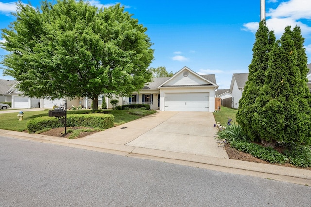 view of front facade featuring concrete driveway, a front lawn, and a garage