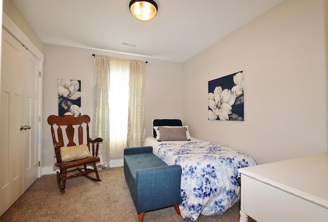 369 Frontier Dr, Clarksville, TN 37043 - photo 26