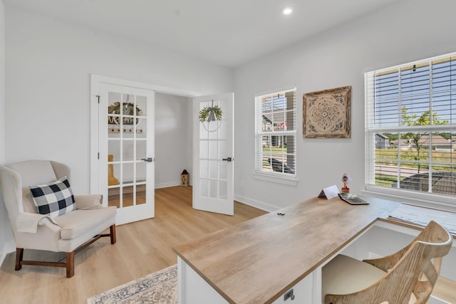 3012 Manchester Dr, Spring Hill, TN 37174 - office space featuring french doors, baseboards, and light wood-type flooring
