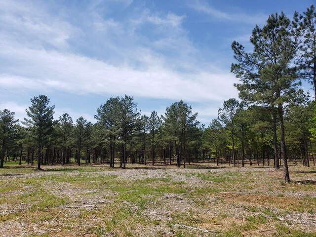0 Kedron Rd, Spring Hill, TN 37174 - photo 13