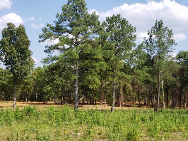 0 Kedron Rd, Spring Hill, TN 37174 - photo 11