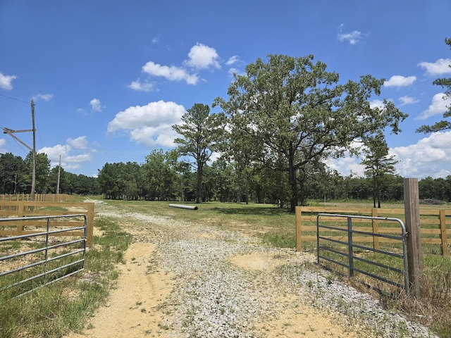 0 Kedron Rd, Spring Hill, TN 37174 - photo 5
