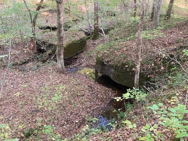 635 Cane Creek Rd, Hohenwald, TN 38462 - view of local wilderness