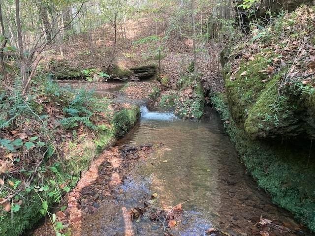 635 Cane Creek Rd, Hohenwald, TN 38462 - view of yard