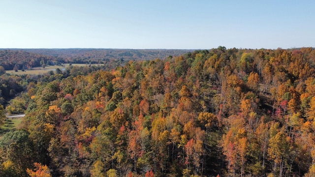 635 Cane Creek Rd, Hohenwald, TN 38462 - aerial view featuring a view of trees