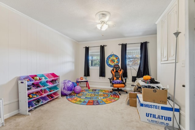 635 Cane Creek Rd, Hohenwald, TN 38462 - playroom featuring carpet floors, ornamental molding, and a textured ceiling