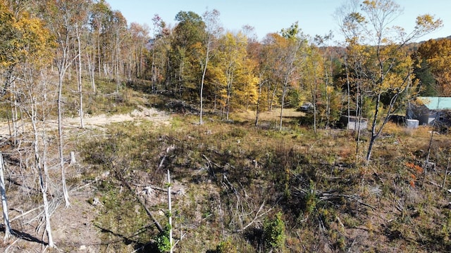 635 Cane Creek Rd, Hohenwald, TN 38462 - view of landscape featuring a wooded view