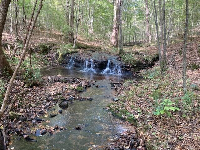635 Cane Creek Rd, Hohenwald, TN 38462 - view of nature featuring a forest view