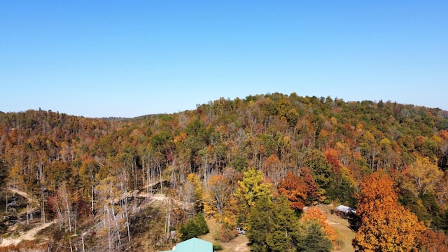 635 Cane Creek Rd, Hohenwald, TN 38462 - exterior space featuring a wooded view