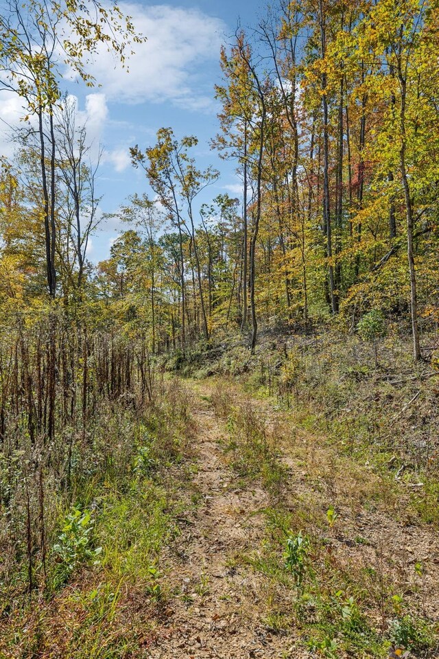 635 Cane Creek Rd, Hohenwald, TN 38462 - view of local wilderness with a wooded view
