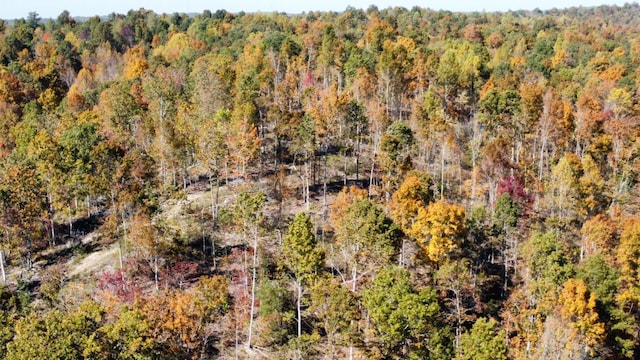 635 Cane Creek Rd, Hohenwald, TN 38462 - birds eye view of property with a forest view