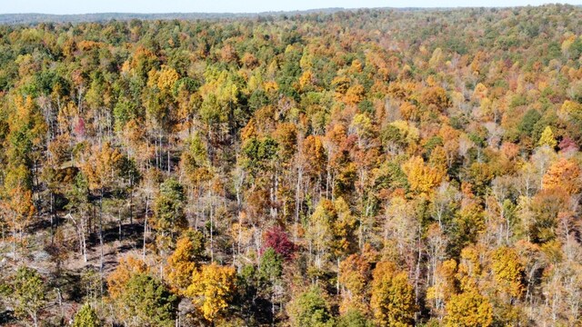 635 Cane Creek Rd, Hohenwald, TN 38462 - aerial view featuring a wooded view