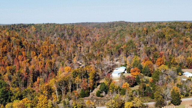 635 Cane Creek Rd, Hohenwald, TN 38462 - aerial view with a view of trees