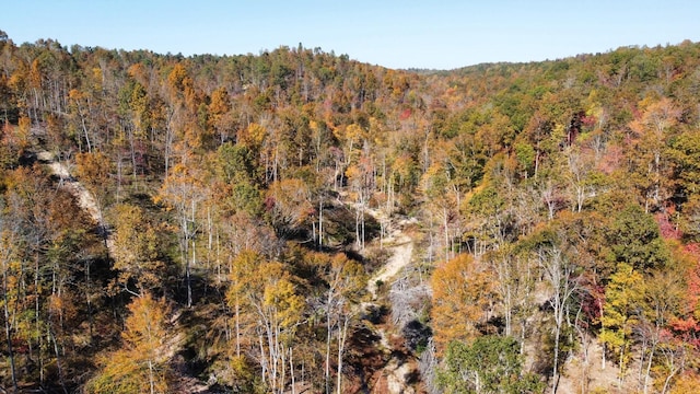 635 Cane Creek Rd, Hohenwald, TN 38462 - exterior space with a view of trees and a mountain view