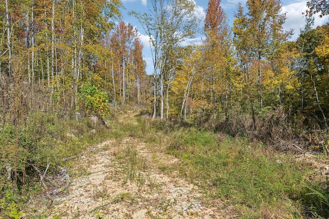 635 Cane Creek Rd, Hohenwald, TN 38462 - view of local wilderness featuring a view of trees