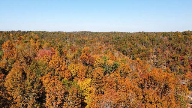 635 Cane Creek Rd, Hohenwald, TN 38462 - view of landscape with a wooded view