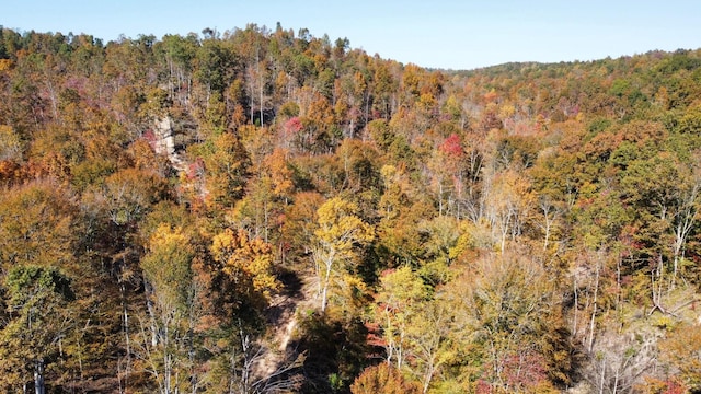 635 Cane Creek Rd, Hohenwald, TN 38462 - exterior space featuring a view of trees