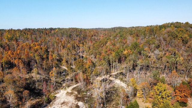 635 Cane Creek Rd, Hohenwald, TN 38462 - drone / aerial view featuring a view of trees