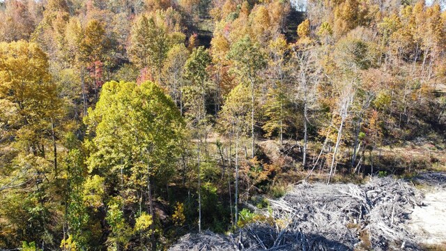 635 Cane Creek Rd, Hohenwald, TN 38462 - bird's eye view with a forest view