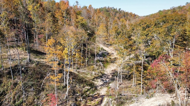635 Cane Creek Rd, Hohenwald, TN 38462 - view of local wilderness with a wooded view