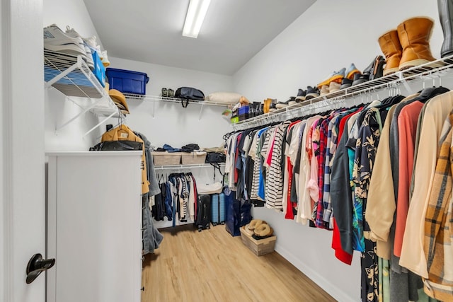 walk in closet with wood finished floors