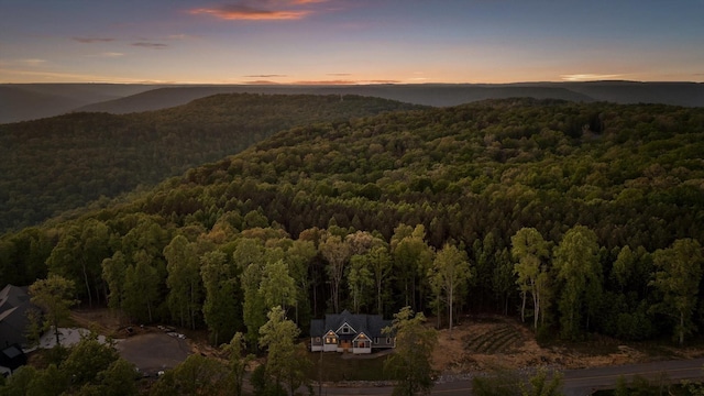 mountain view featuring a wooded view