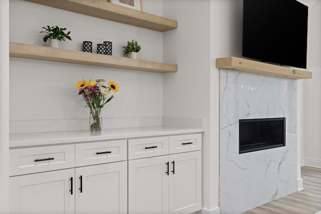 details with baseboards, wood finished floors, and a premium fireplace