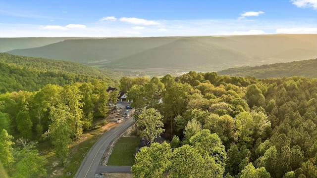 view of mountain feature featuring a forest view