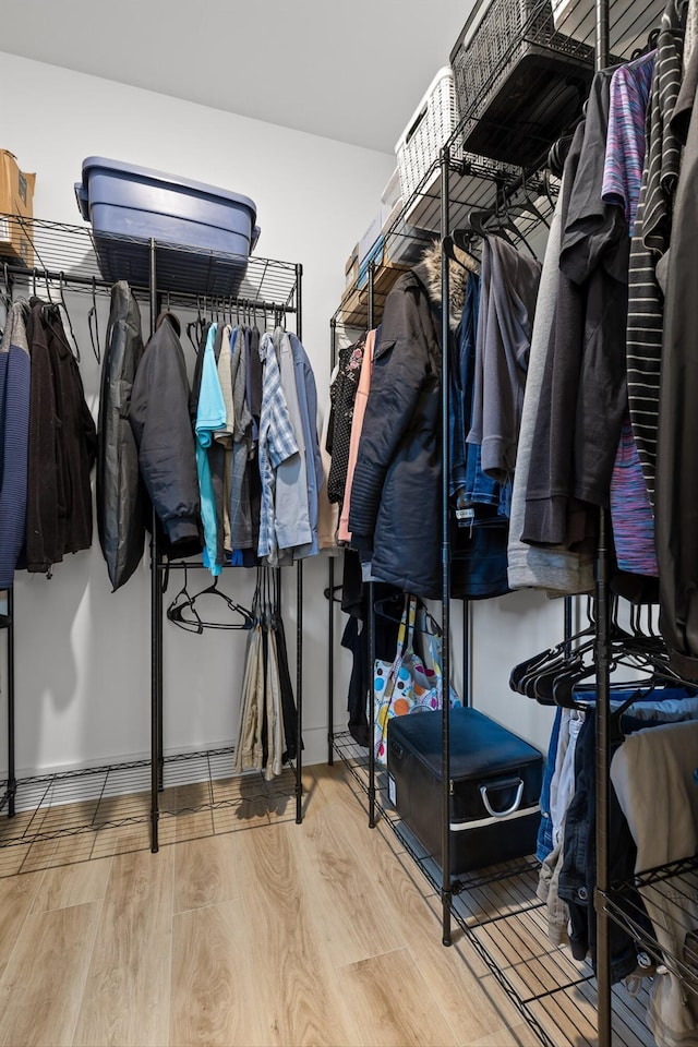 spacious closet featuring wood finished floors