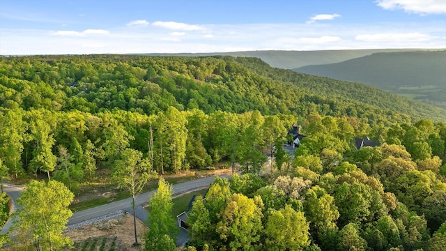 drone / aerial view with a wooded view and a mountain view