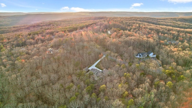 drone / aerial view with a forest view