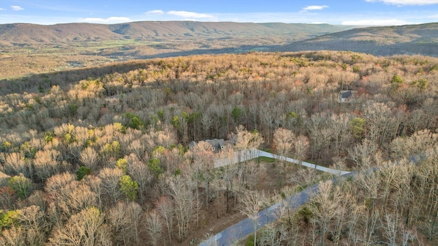 mountain view with a wooded view