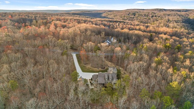aerial view with a forest view