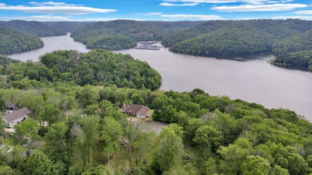 0 Highbridge Dr, Smithville, TN 37166 - photo 10