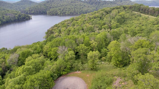 0 Highbridge Dr, Smithville, TN 37166 - photo 8