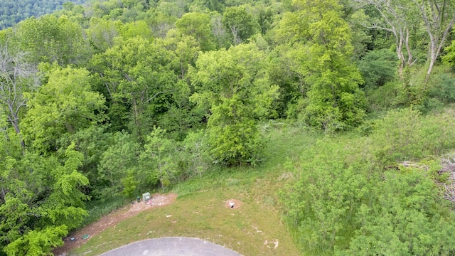 0 Highbridge Dr, Smithville, TN 37166 - photo 6