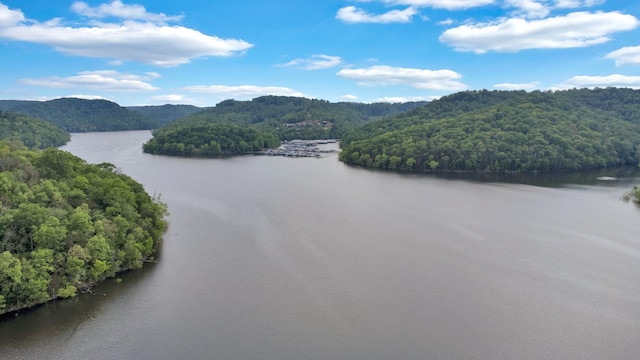 0 Highbridge Dr, Smithville, TN 37166 - photo 13