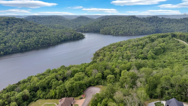 0 Highbridge Dr, Smithville, TN 37166 - photo 1