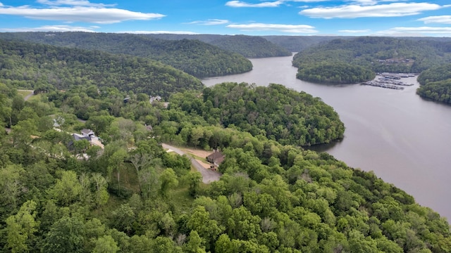 0 Highbridge Dr, Smithville, TN 37166 - photo 9