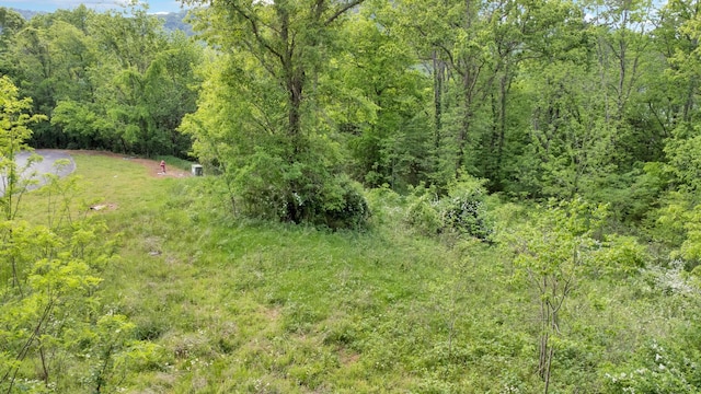 0 Highbridge Dr, Smithville, TN 37166 - photo 7