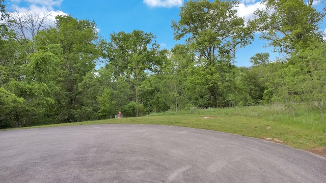 0 Highbridge Dr, Smithville, TN 37166 - photo 5