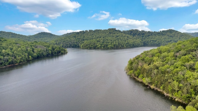 0 Highbridge Dr, Smithville, TN 37166 - photo 12