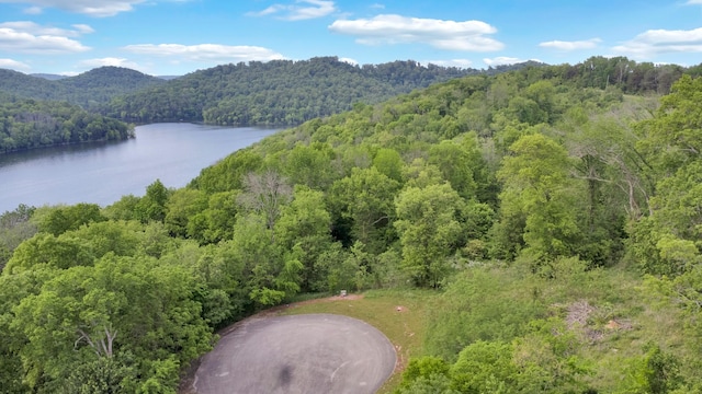 0 Highbridge Dr, Smithville, TN 37166 - photo 3